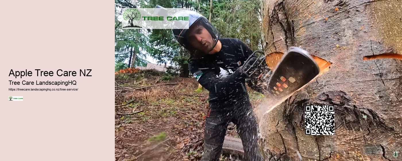 Tree Trimming Napier