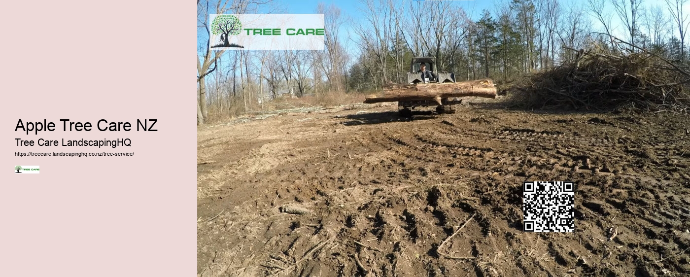 Tree Removal West Auckland