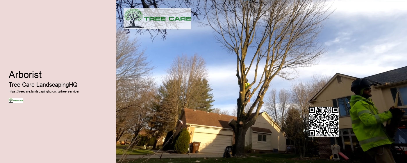 NZ Tree Care