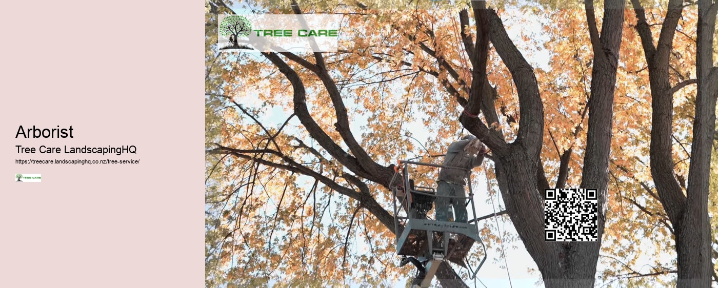 Tree Services Whakatane