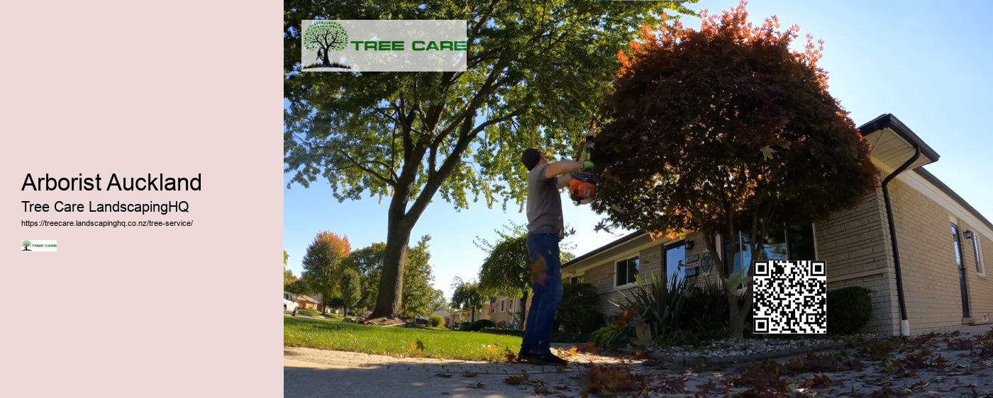 Arborist Tauranga