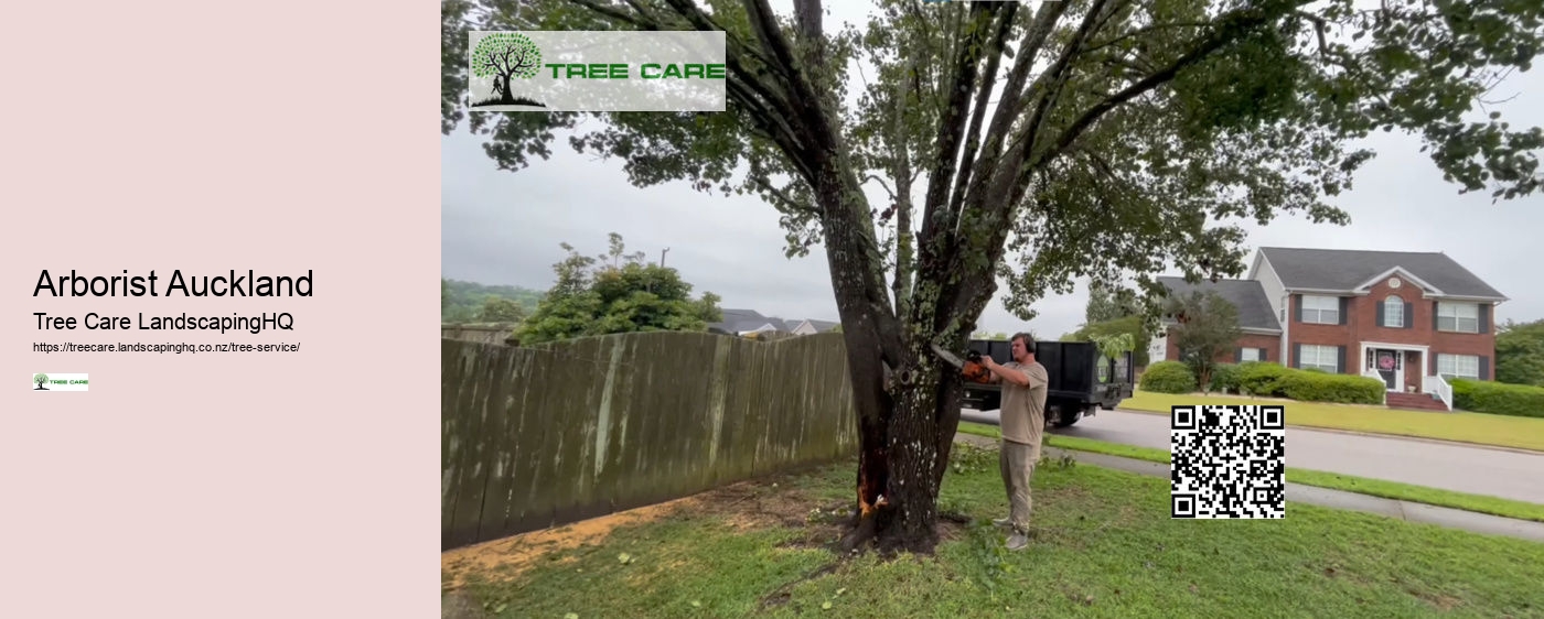 Tree Removal South Auckland