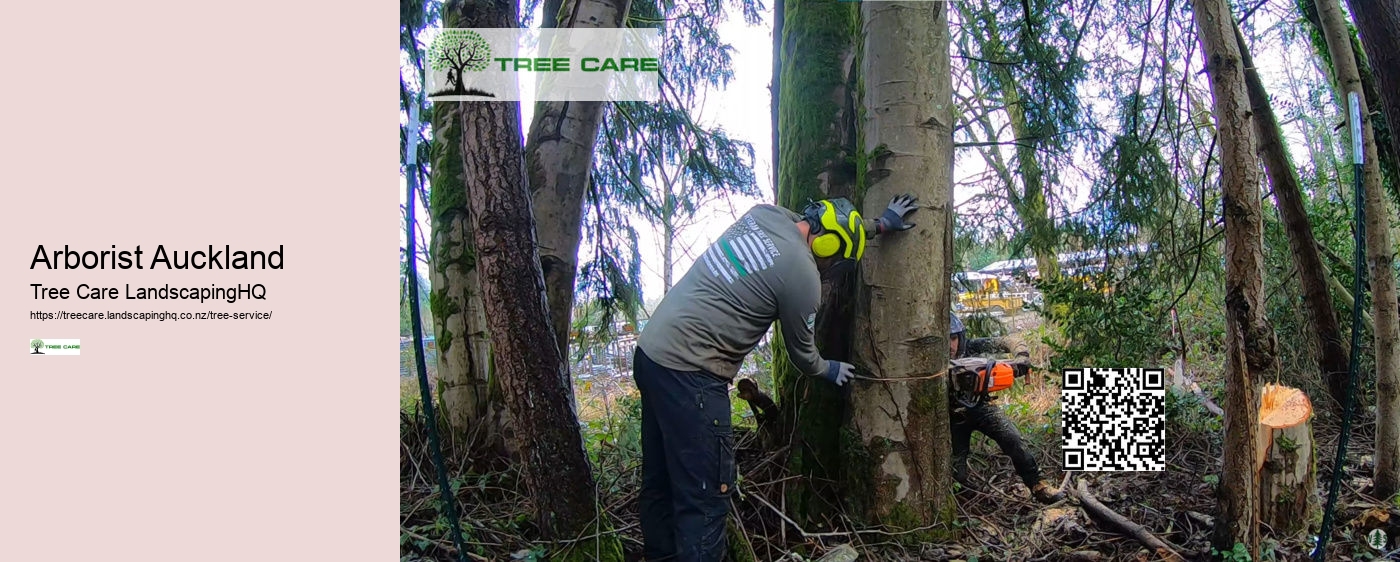 Tree Removal South Auckland