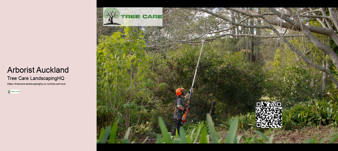 Arborist Auckland North Shore