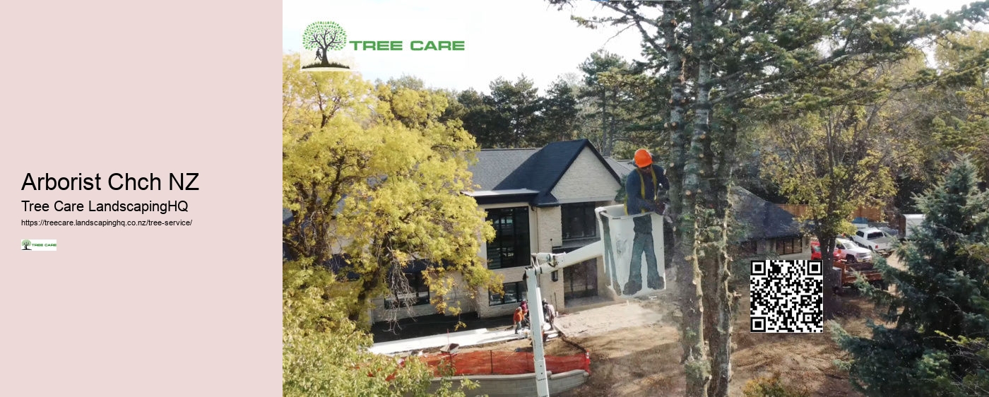 Tree Surgeon Dunedin