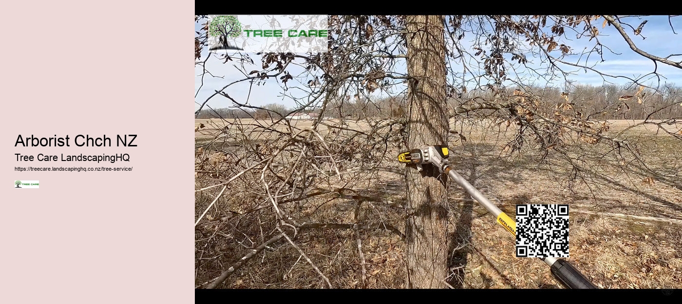 Tree Care NZ