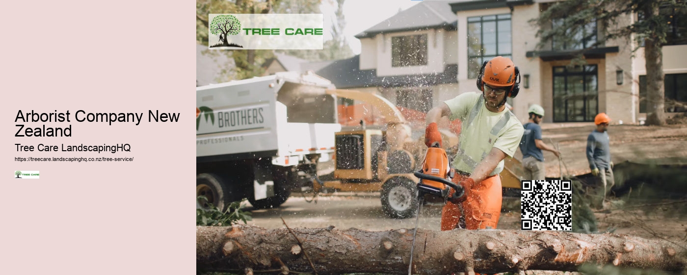 Arborist Company New Zealand