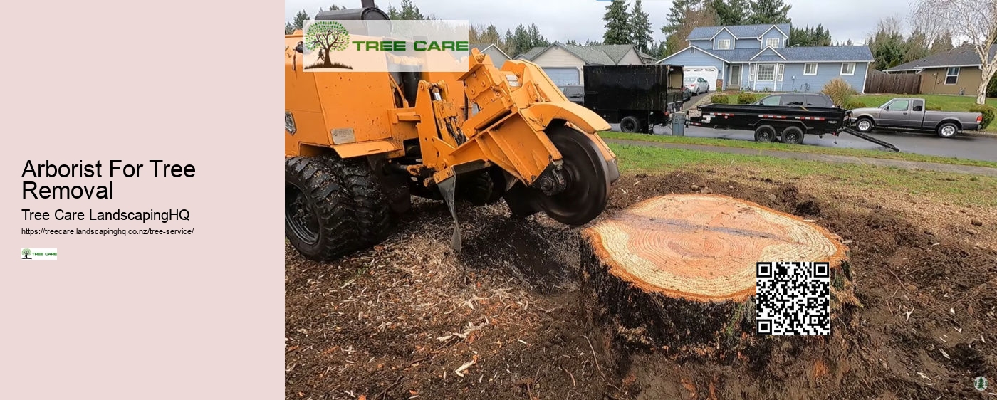 Arborist For Tree Removal