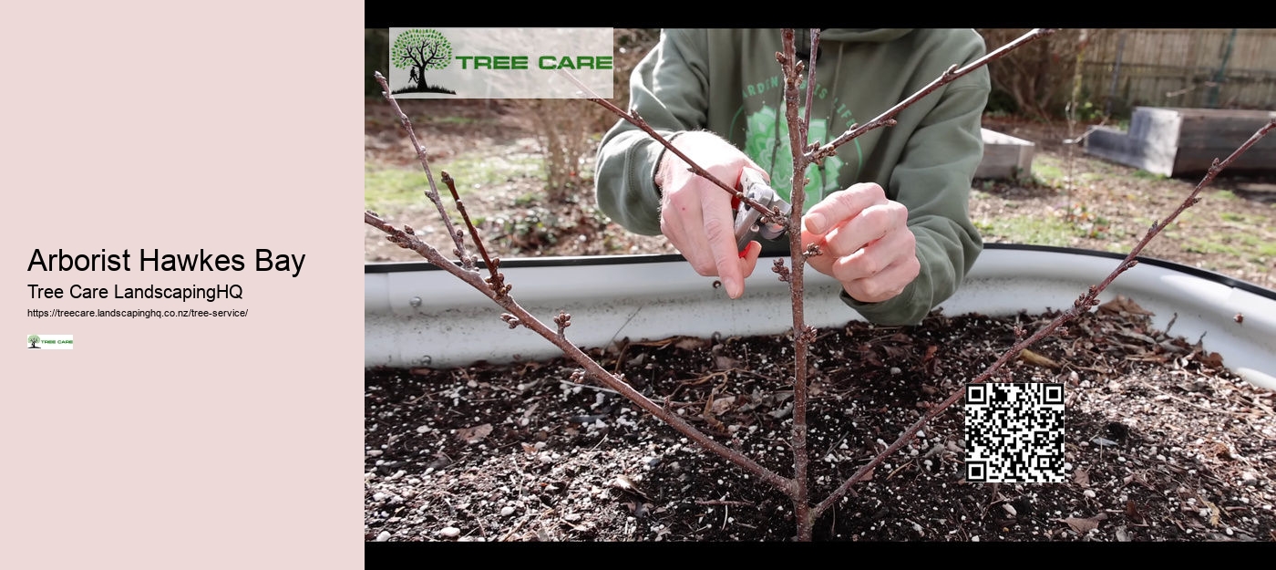 Local Arborist