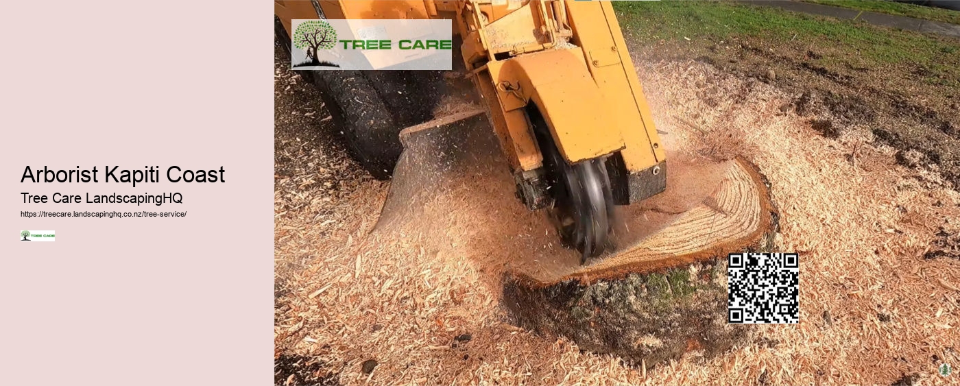 Arborist Kapiti Coast