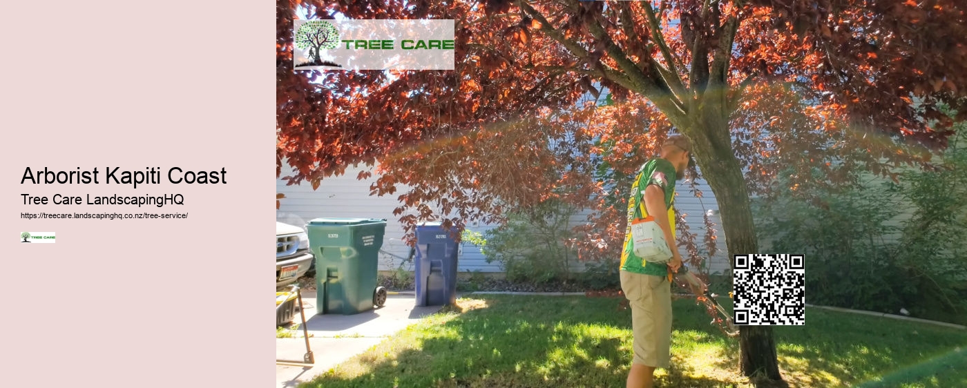 Tree Removal Dunedin