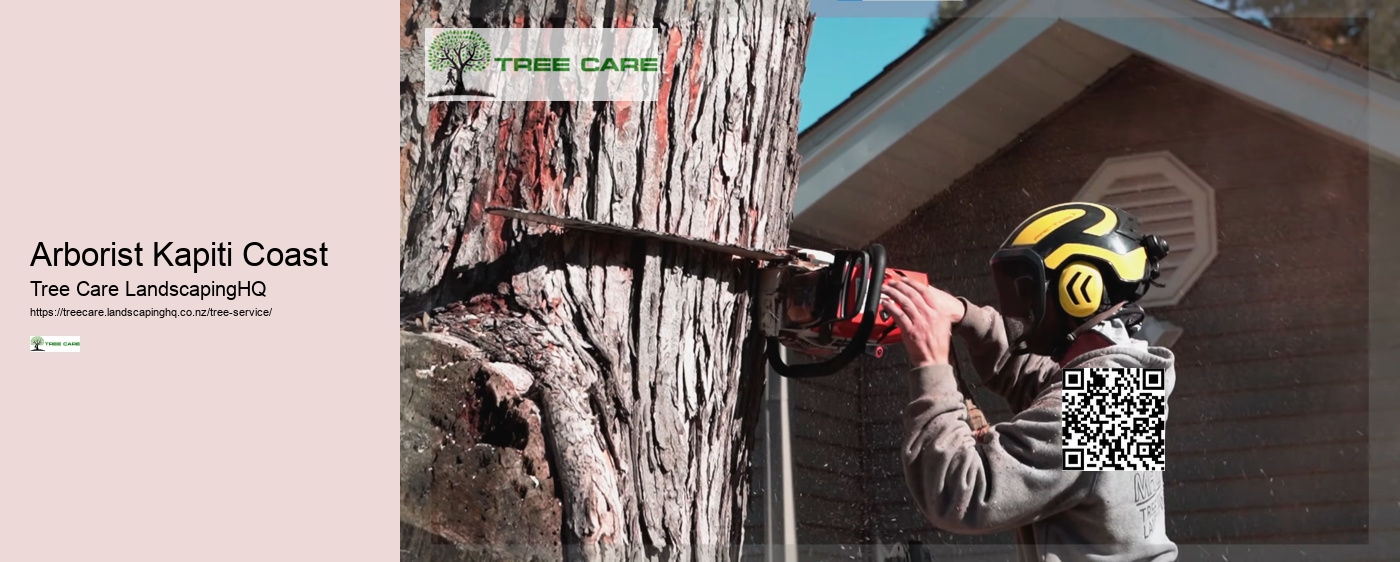 Arborists Auckland NZ