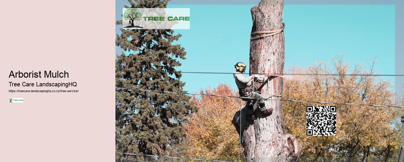 Arborist Company New Zealand