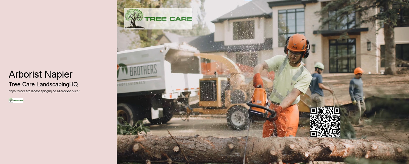 Arborist Hastings NZ