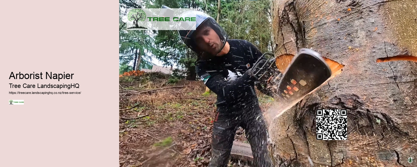 Arborist Hastings NZ