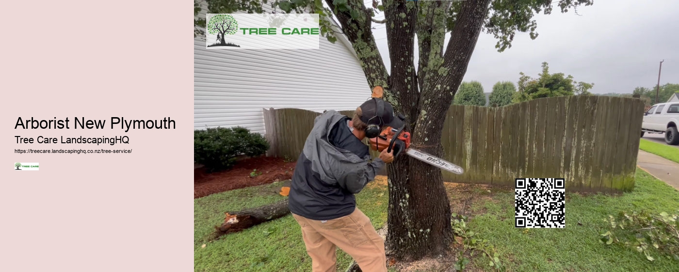 Tree Services Kapiti