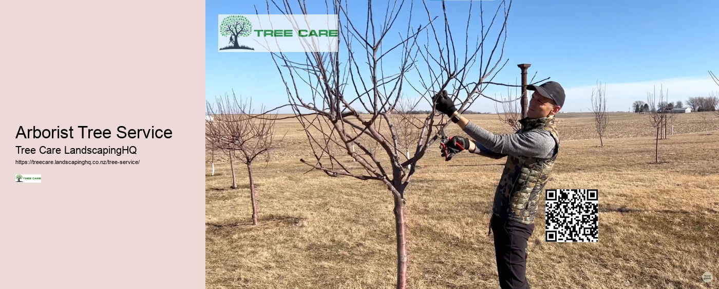 Tree Trimming Chch