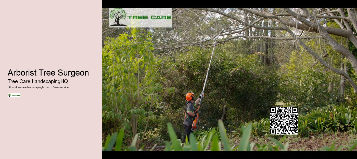 Arborist Tree Surgeon