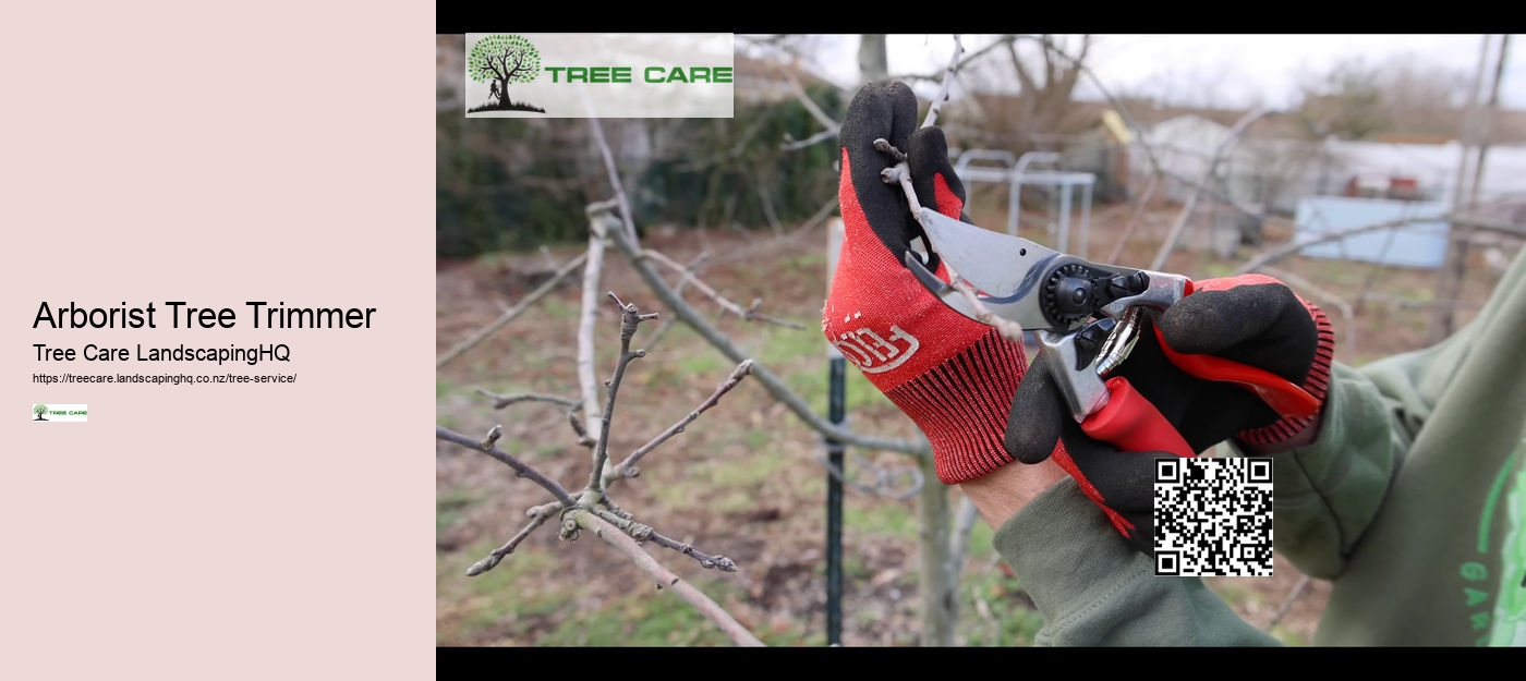 Arborist Tree Trimmer