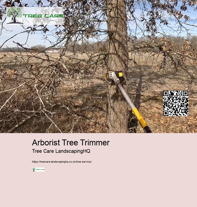 Arborist Napier