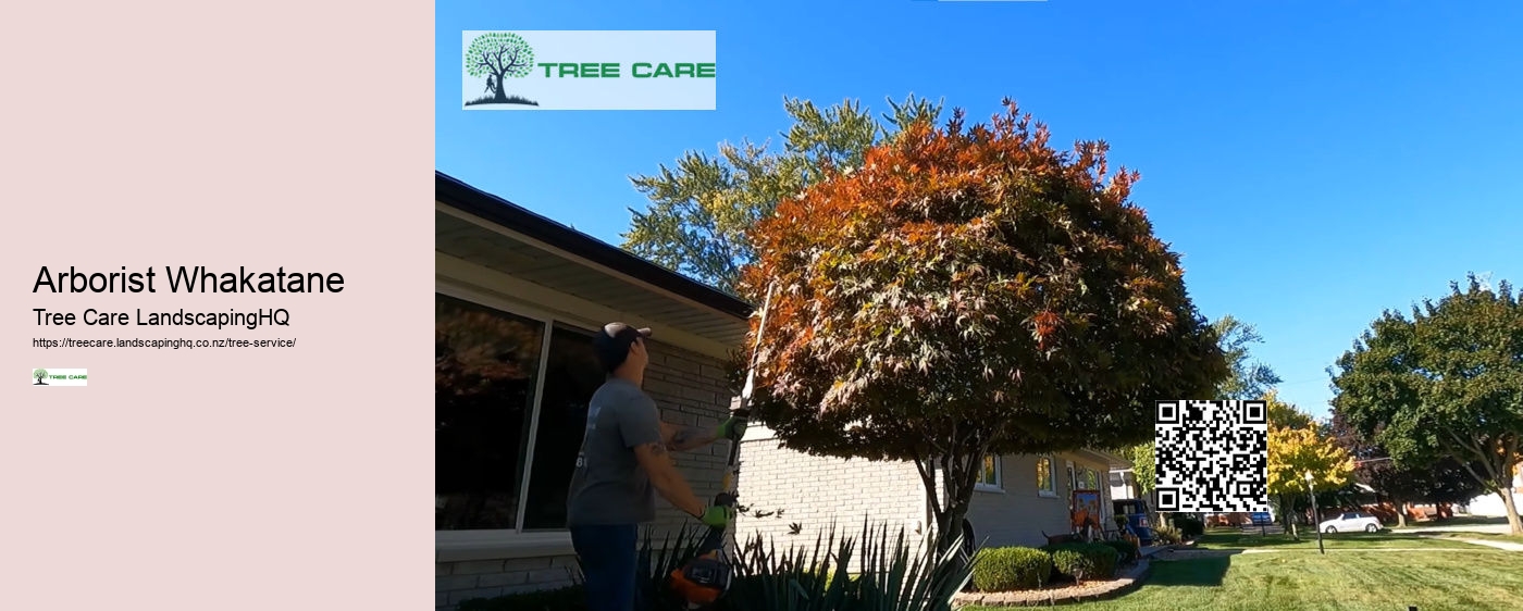 Arborist Kapiti Coast