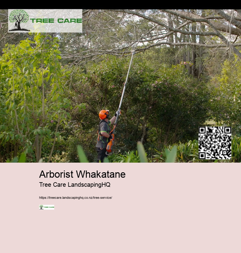 Tree Arborist Wellington NZ