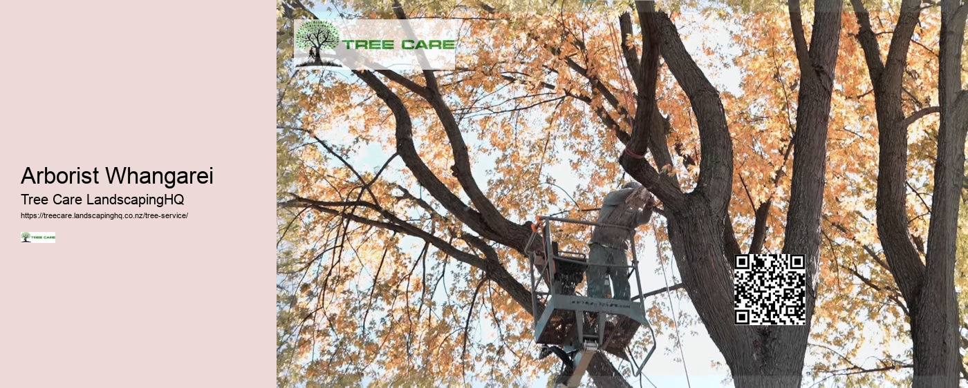 Tree Removal Napier