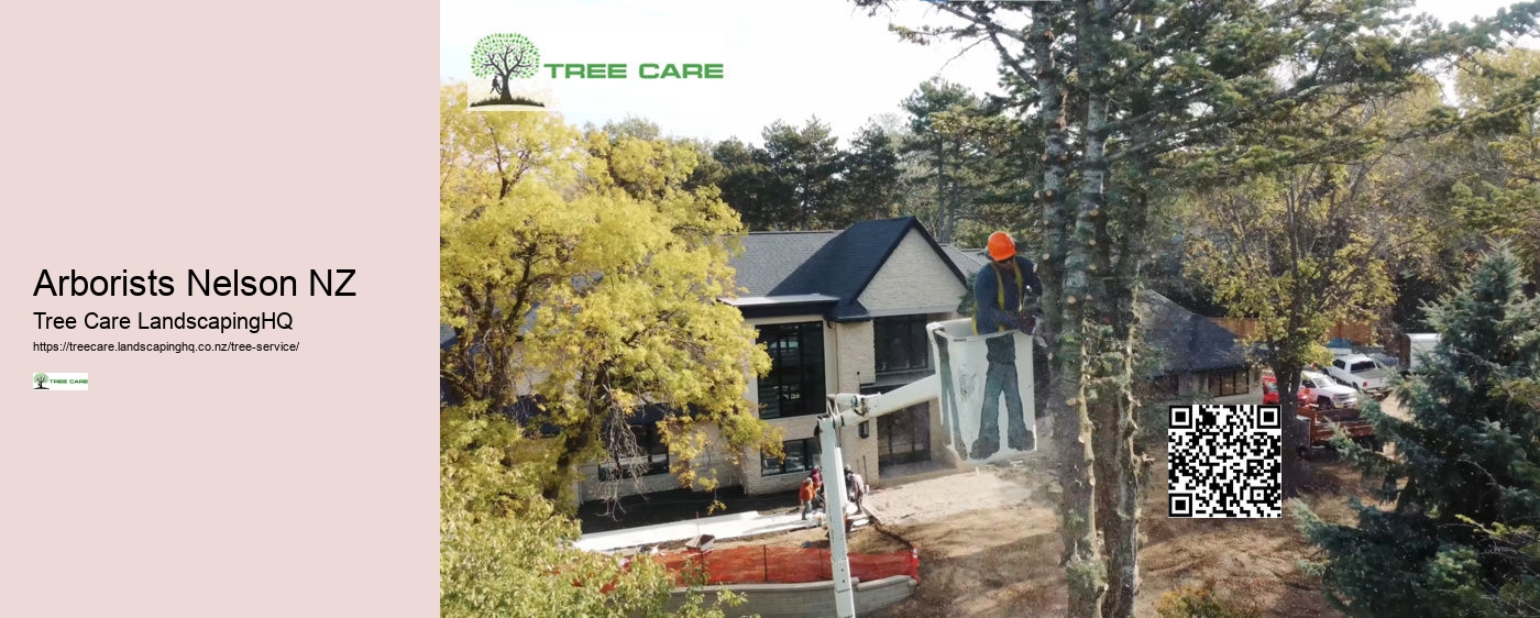 Tree Removal Queenstown NZ