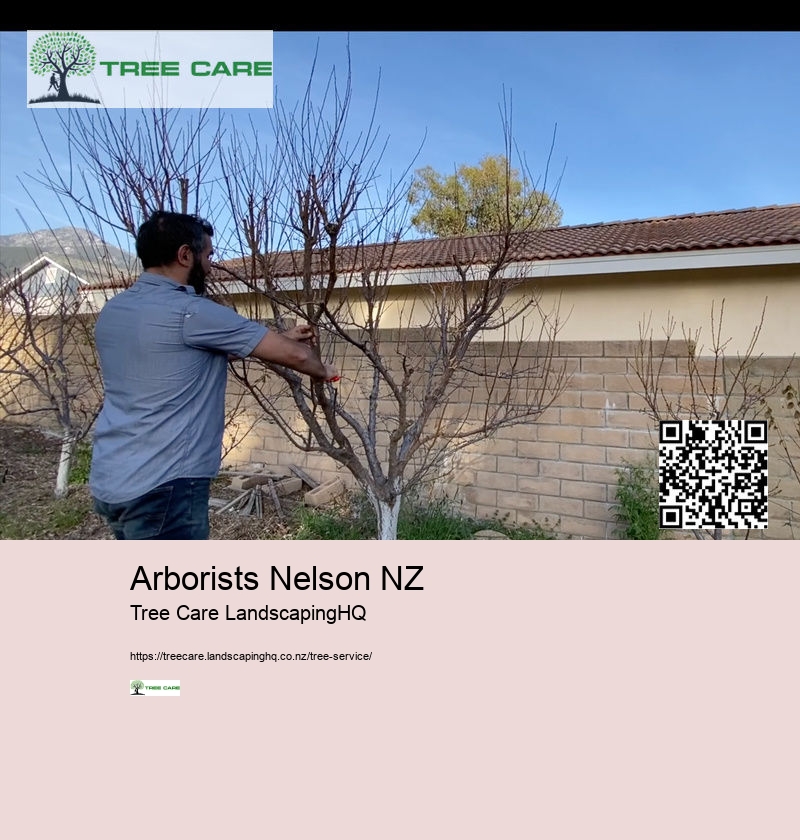 Tree Removal West Auckland