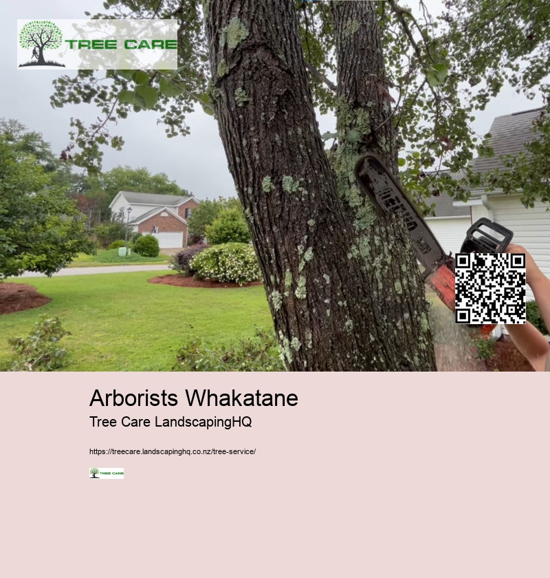 Tauranga Arborist