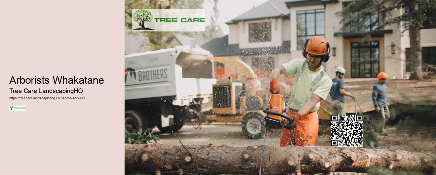 Arborists Whakatane