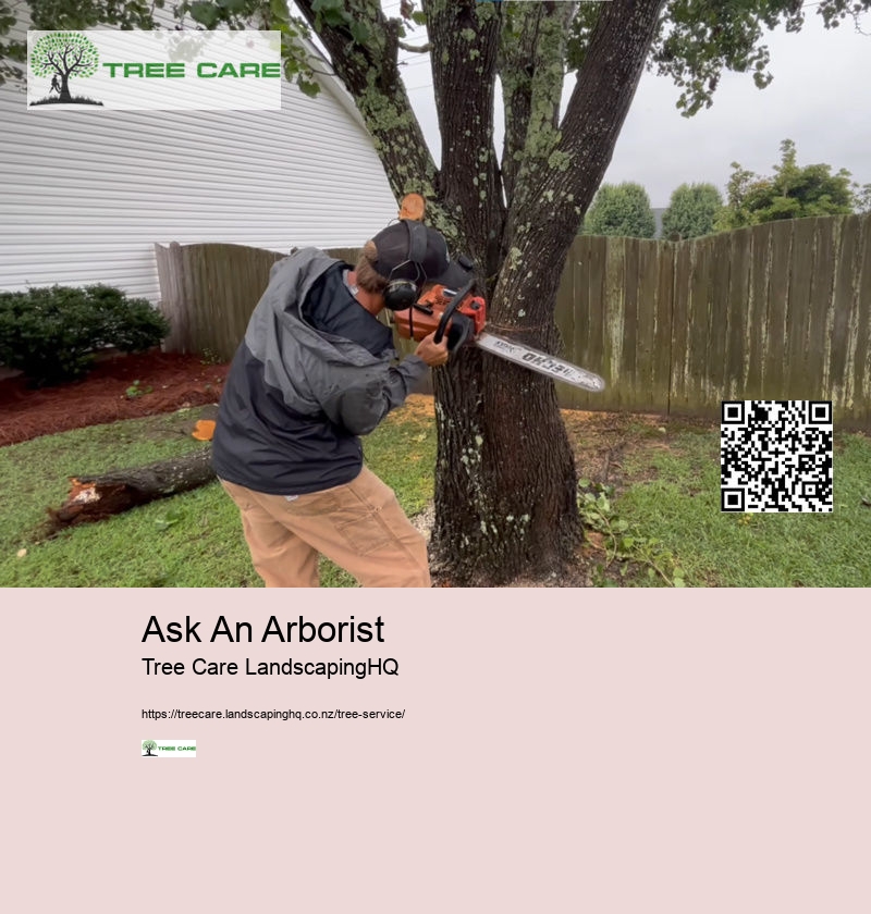 Arborist Tauranga