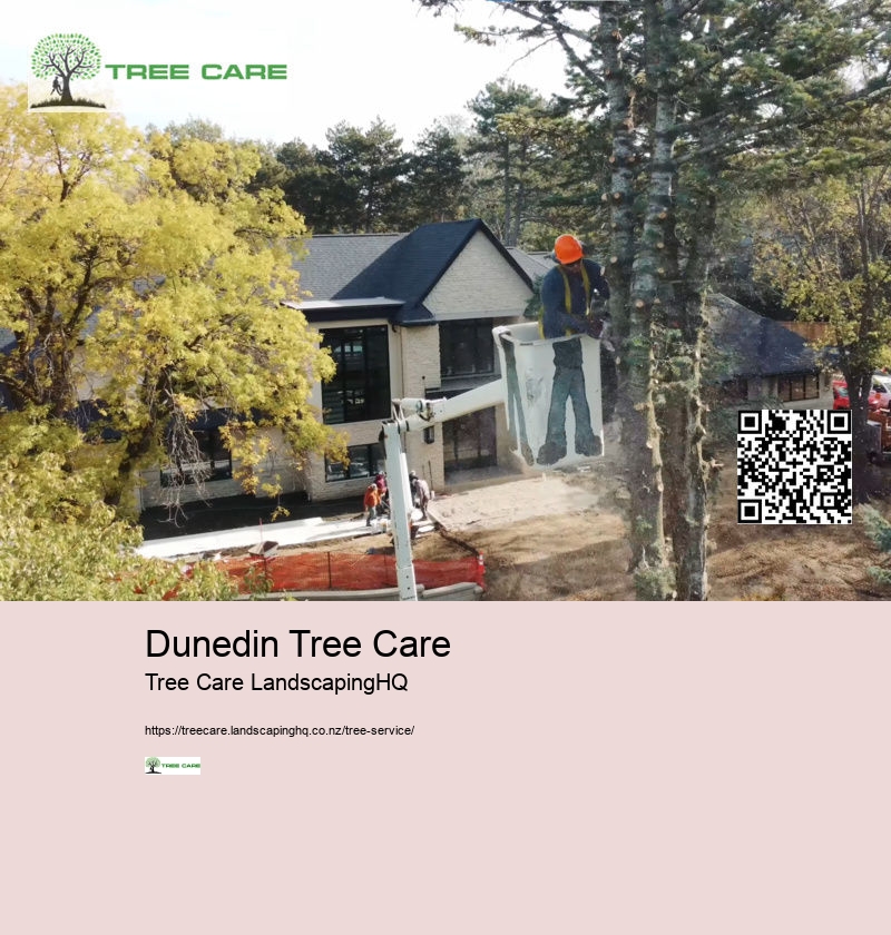 Arborist Nelson NZ