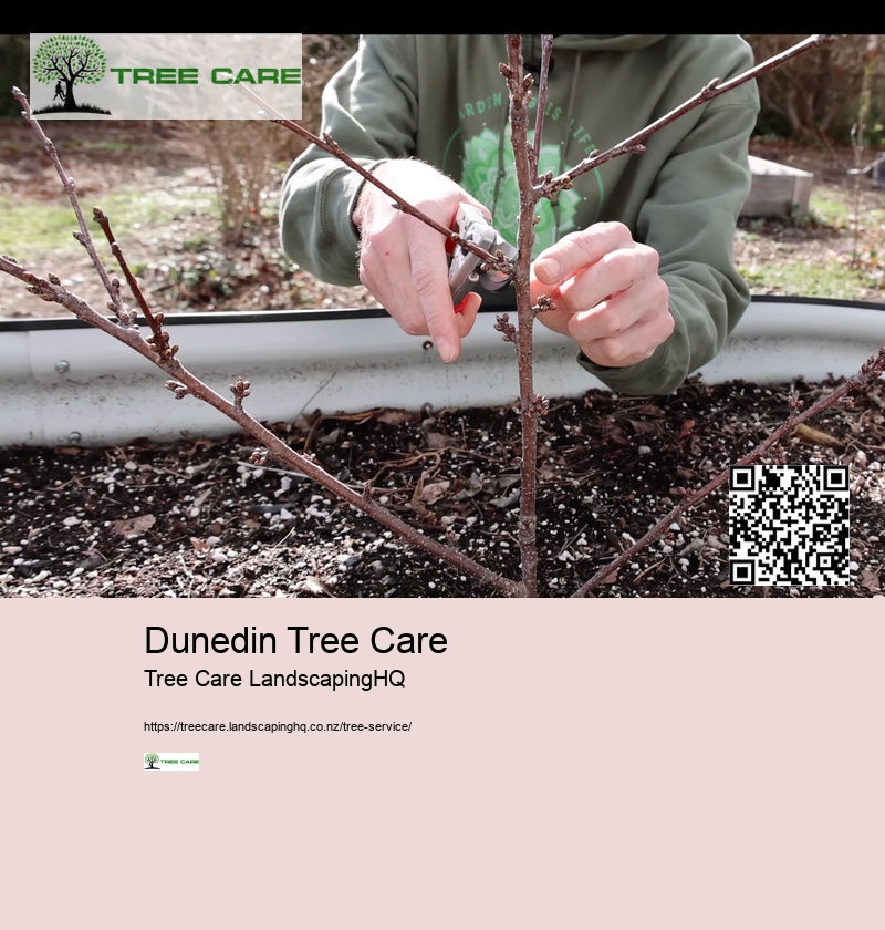 Consulting Arborist NZ