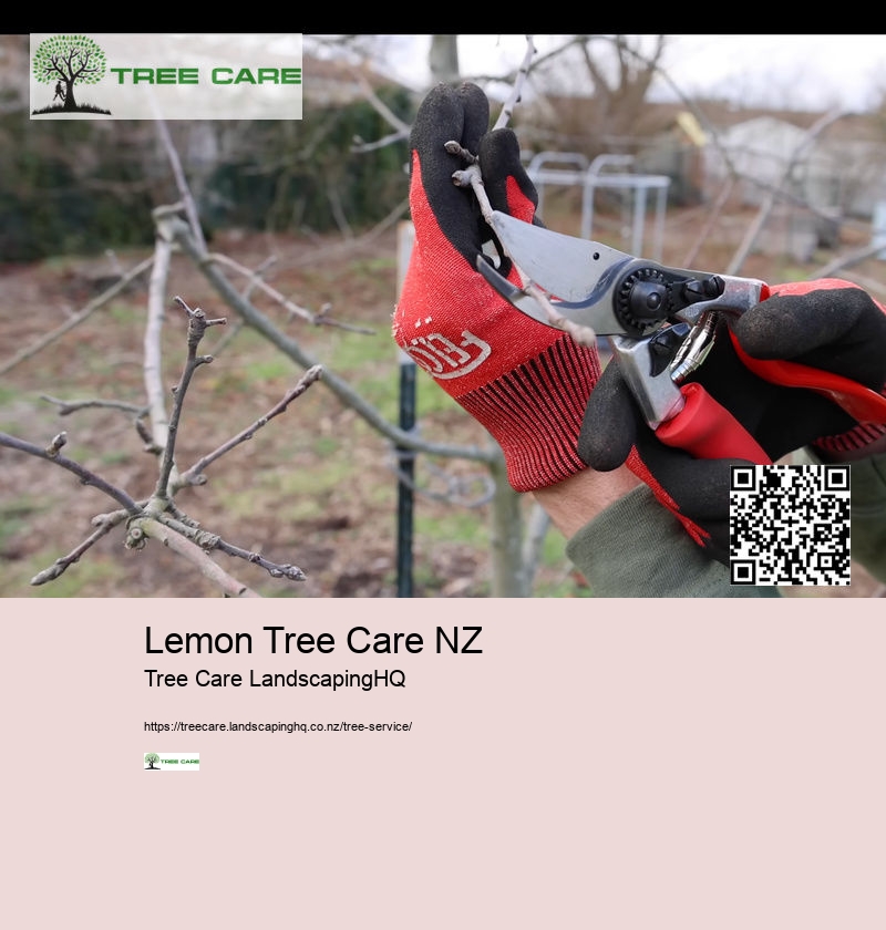 Tree Trimming And Pruning NZ