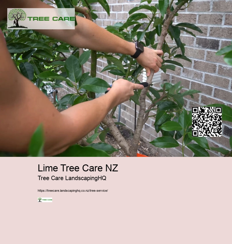 Arborist New Zealand