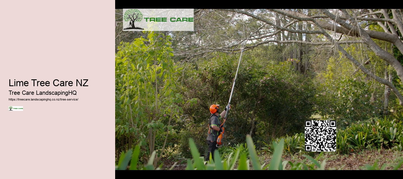 Lime Tree Care NZ