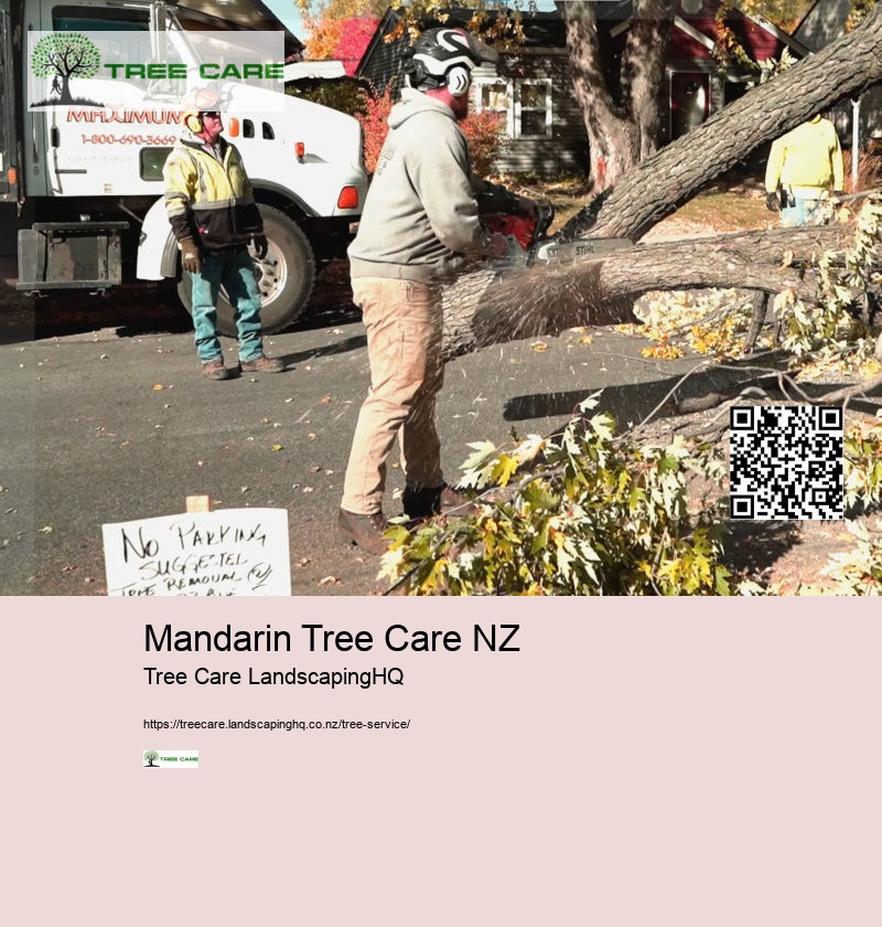 Tree Services Tauranga