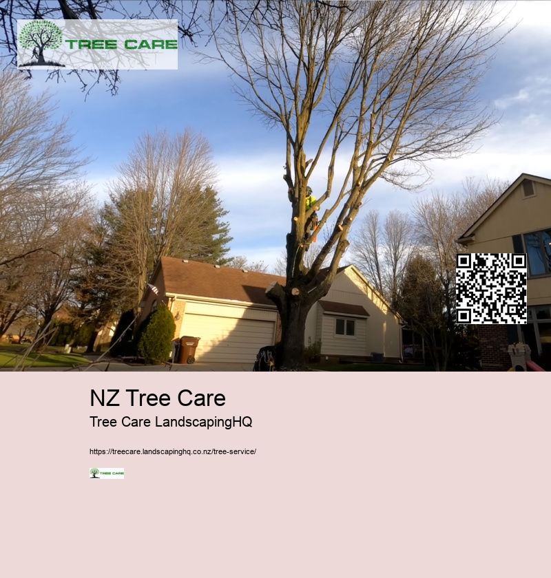 Tree Doctor Auckland