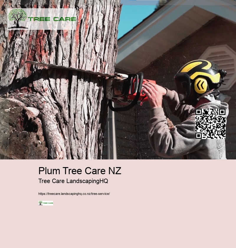 Best Time To Trim Trees NZ