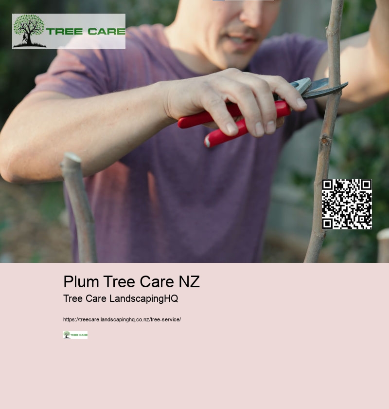 Best Time To Trim Trees NZ