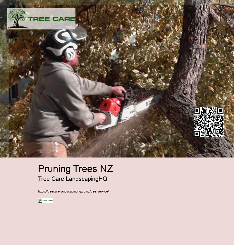 Tree Removal Tauranga