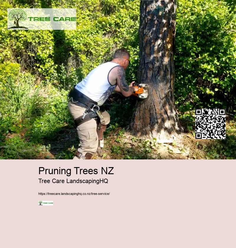 Stump Grinding Auckland