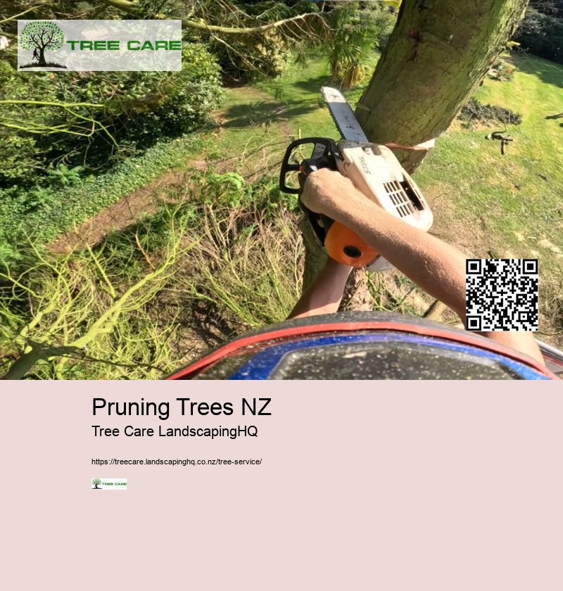 Stump Grinding Auckland