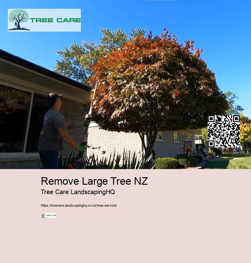 Arborist Hamilton NZ