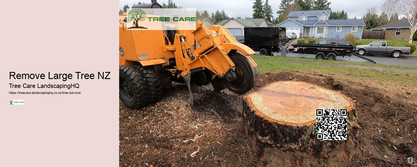 Remove Large Tree NZ