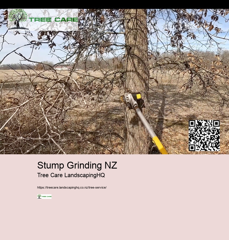 Arborist Tauranga