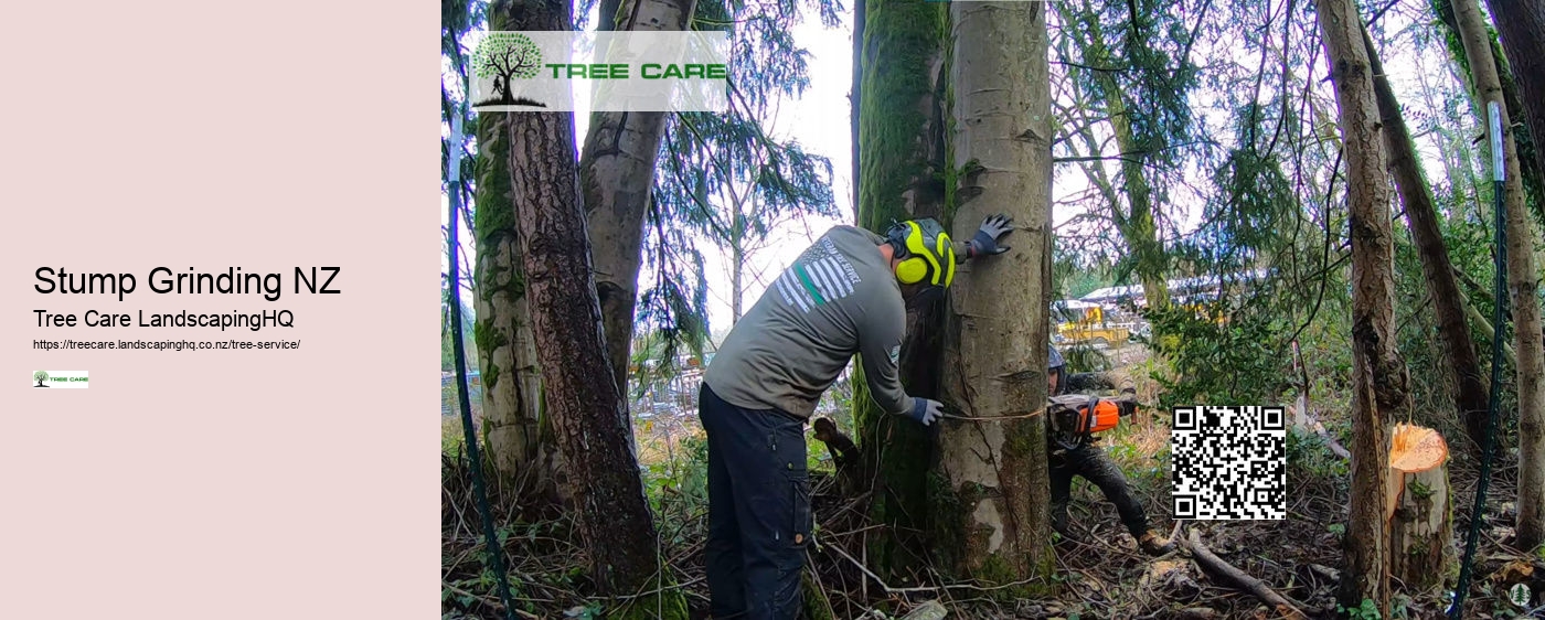 Stump Grinding NZ