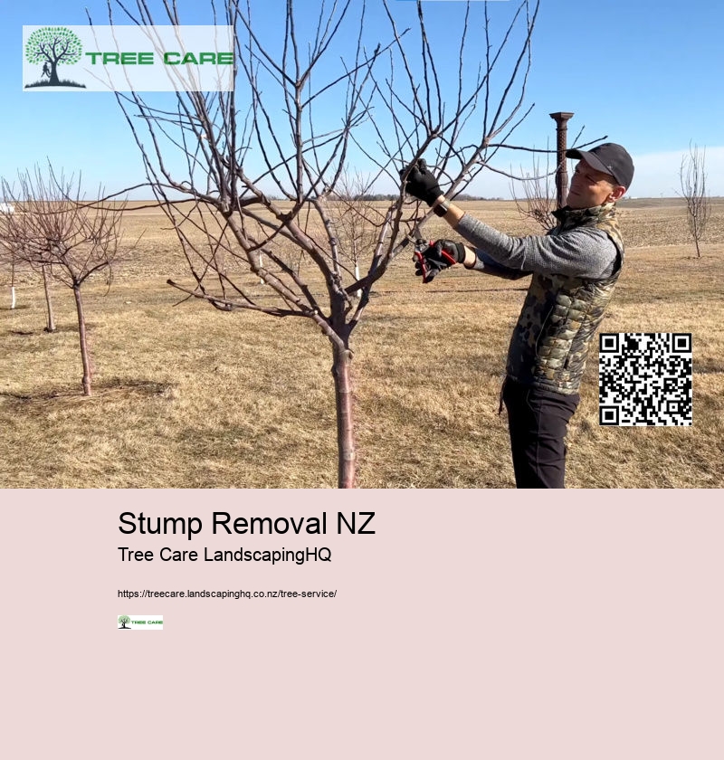 Stump Grinder Hamilton NZ