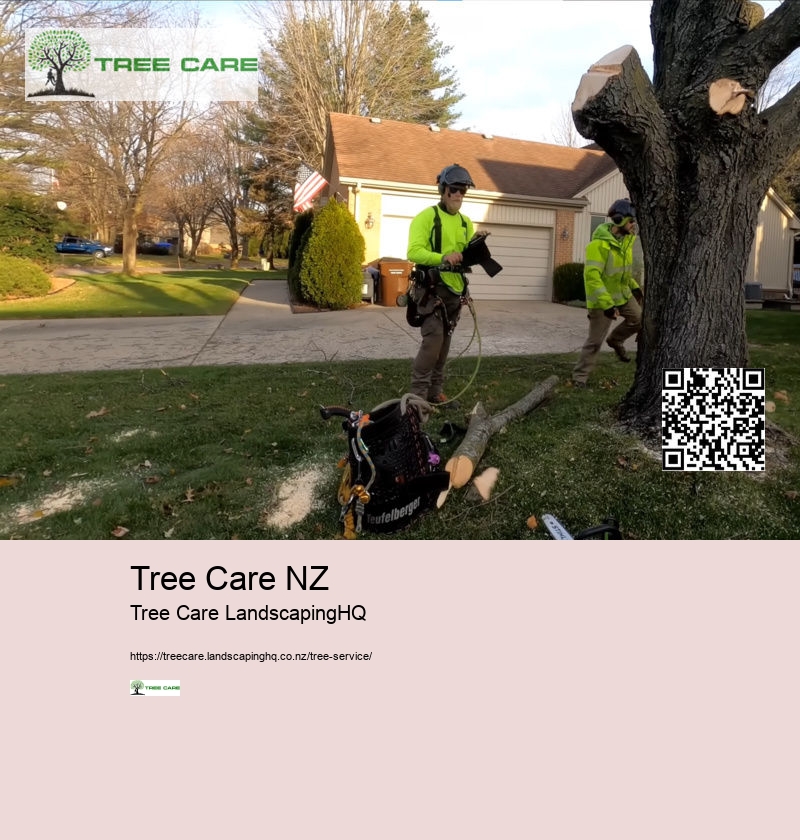 Palm Tree Removal NZ